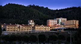 Lidya Sardes Termal Hotel