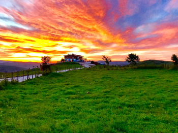 Belen Yayla Otel Ordu - Ordu Merkez