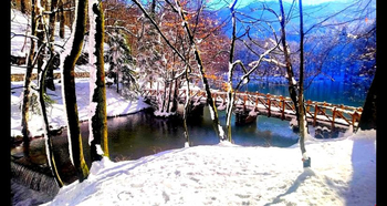 Habitat Mesire Bungalov Evler Bolu - Mengen