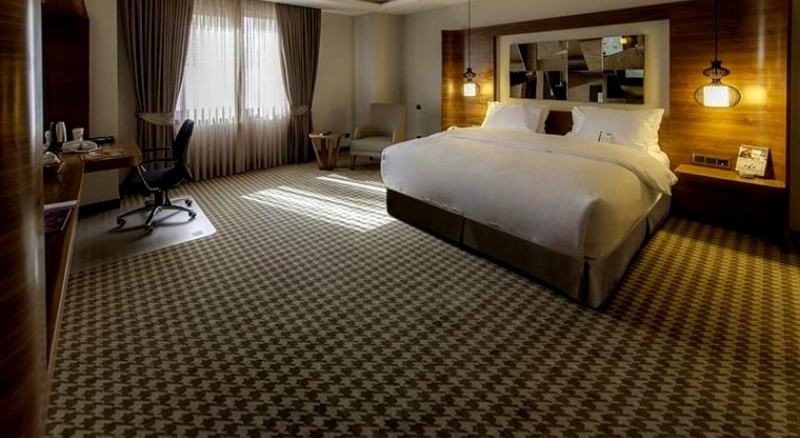 Anemon Hotel Ankara Resim 