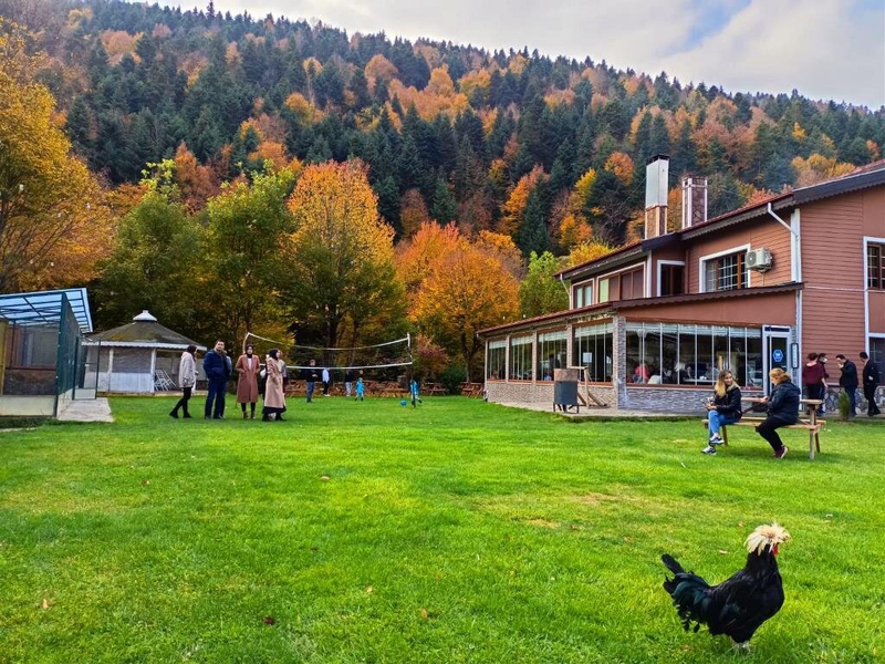 Abant Bahçeli Köşk Otel Bungalov Resim 4