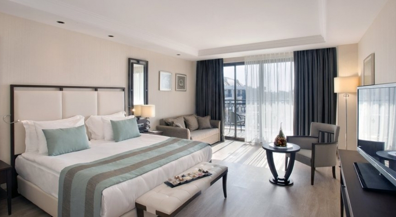 Amara Premier Palace Hotel Resim 2