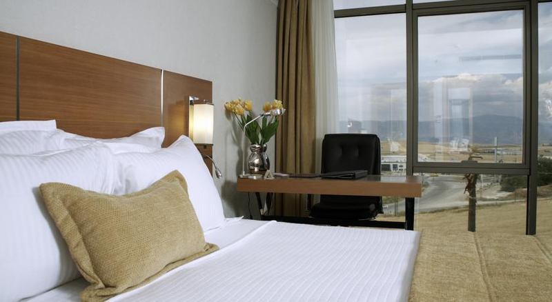 Anemon Hotel Denizli Resim 9