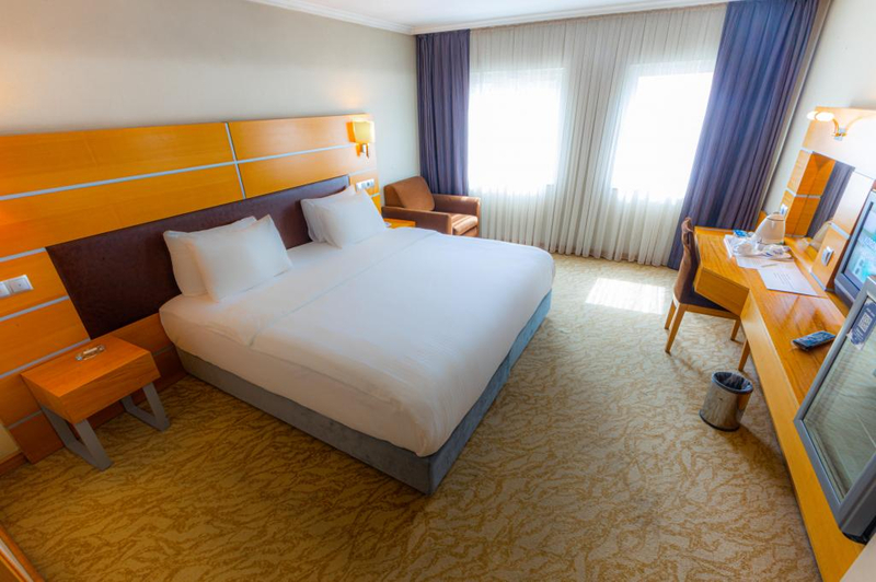 Ankara Plaza Hotel Resim 3