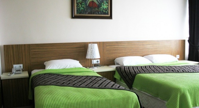 Arsames Hotel Resim 8