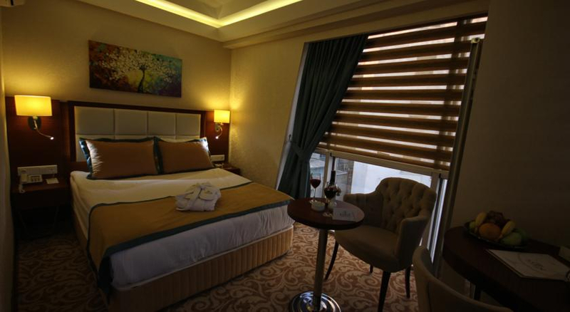 Asrın Business Hotel Ankara Resim 7