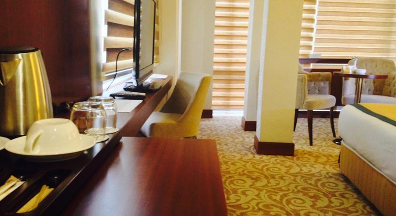 Asrın Business Hotel Ankara Resim 9