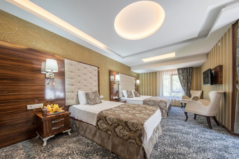 Ayder Hasimoglu Hotel Resim 9
