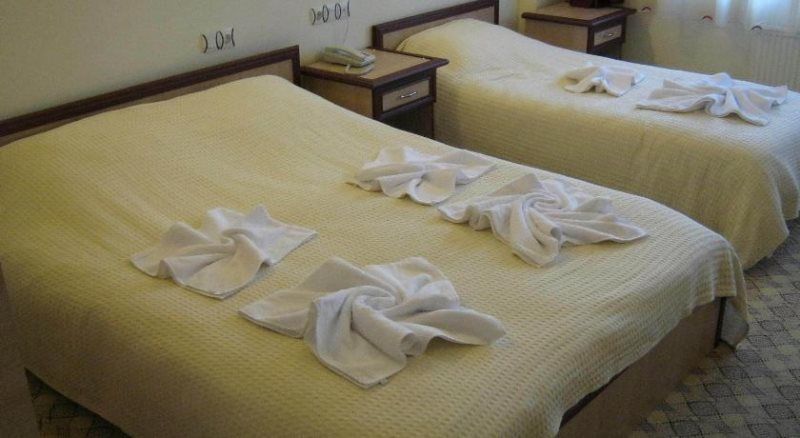 Başkent Demiralan Hotel Resim 10