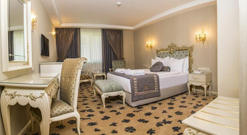 Cassiel Hotel Ankara Resim 9