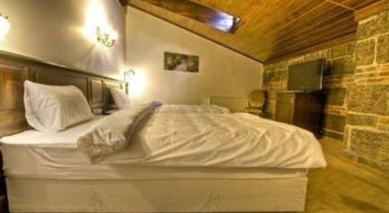 Cheltikov Hotel Kars Resim 5