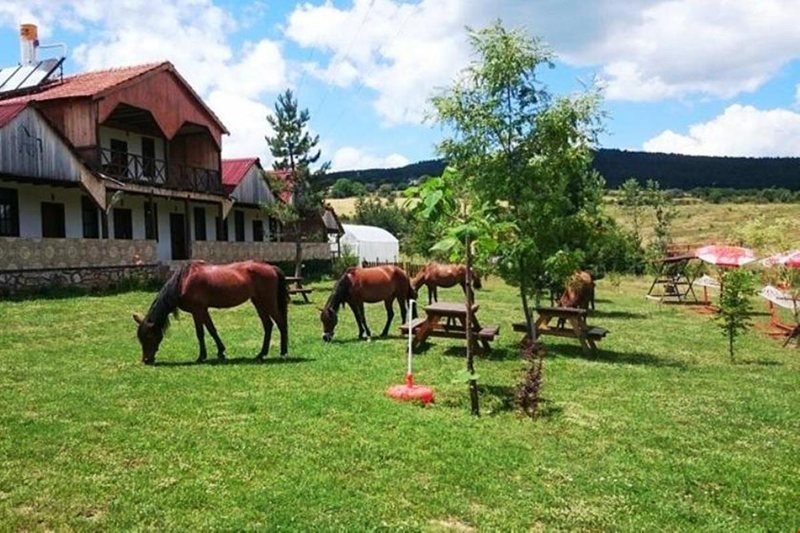 Daday Barış At Çiftliği Resim 2