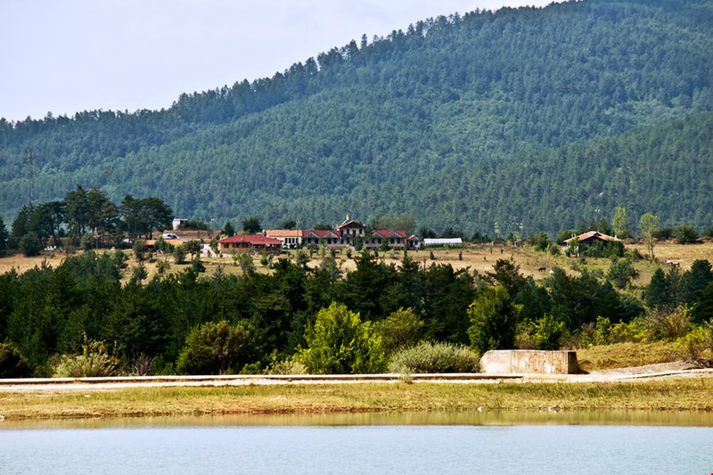 Daday Barış At Çiftliği Resim 9