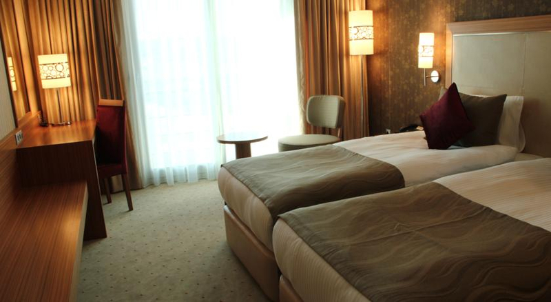 Demora Hotel Ankara Resim 6