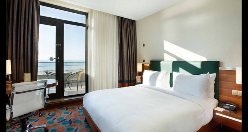 Double Tree by Hilton Van Resim 6