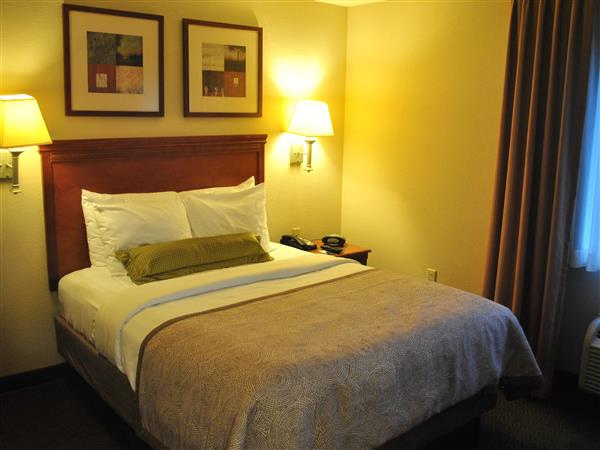 Grand Terme Hotel Resim 8
