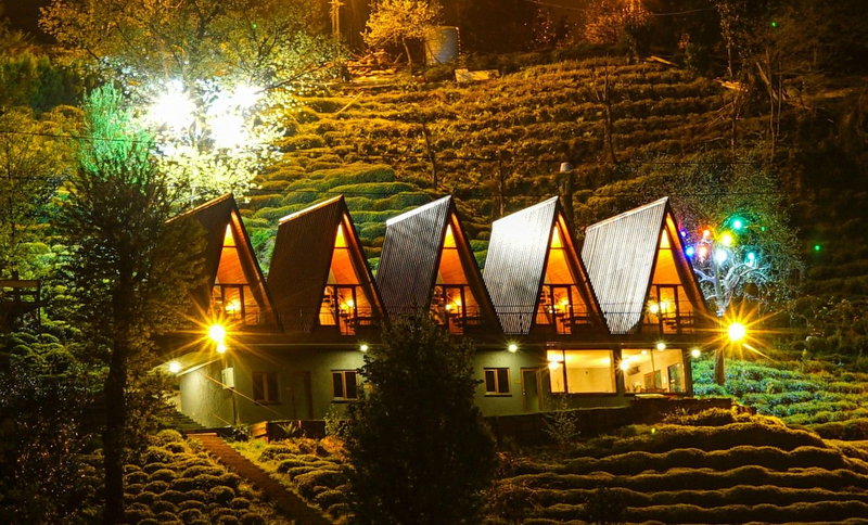 Loya Butik Otel Resim 3