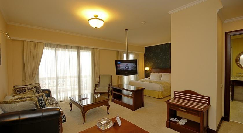 Monec Hotel Ankara Resim 8