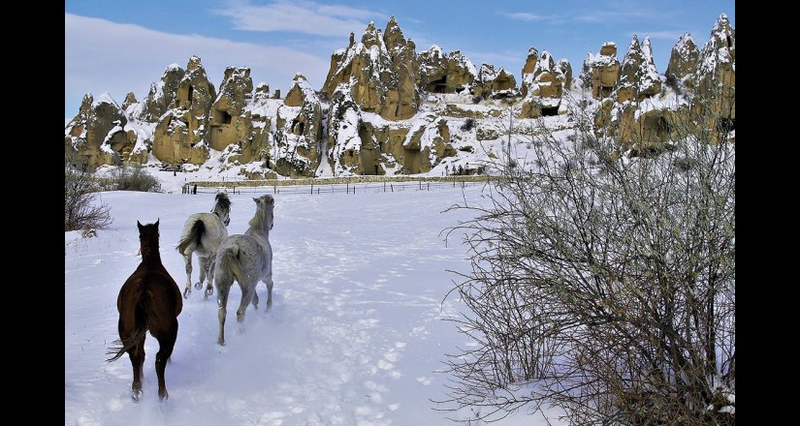 Petra Inn Cappadocia Resim 4