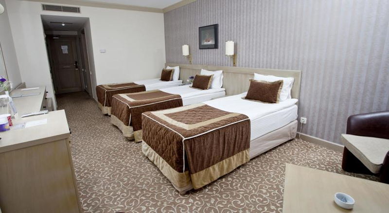 Sergah Hotel Ankara Resim 12