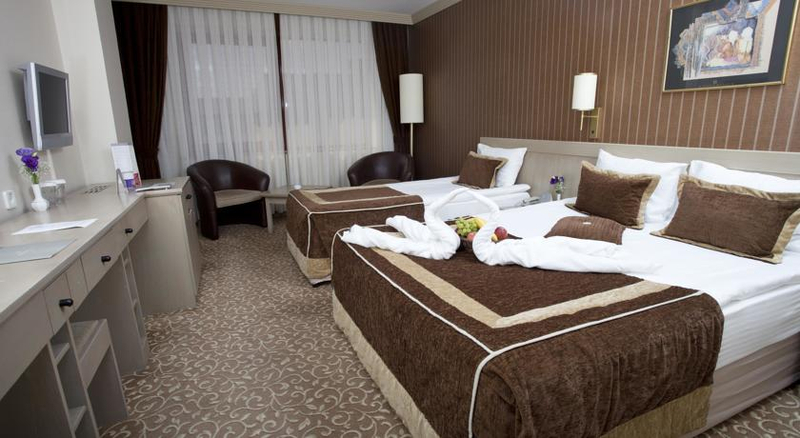 Sergah Hotel Ankara Resim 2