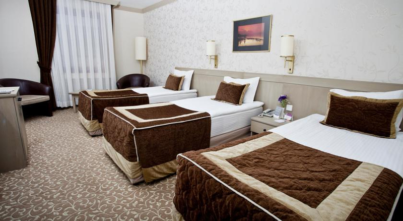 Sergah Hotel Ankara Resim 8