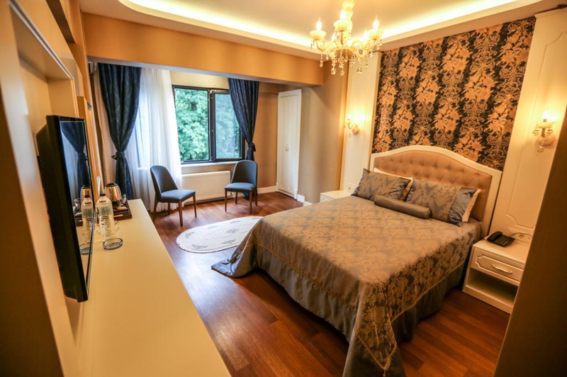 Thermal Saray Hotel & Spa Yalova Resim 4