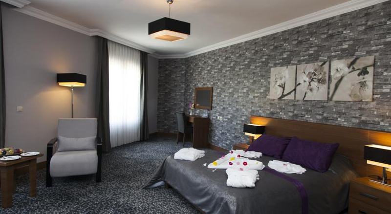 Vital Thermal Hotel & Spa Resim 2