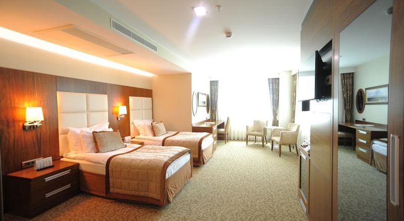 Vivaldi Ce Gold Hotel Ankara Resim 12